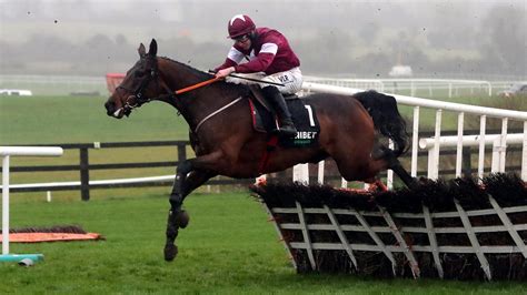 cheltenham market movers|'That's an absolute machine' .